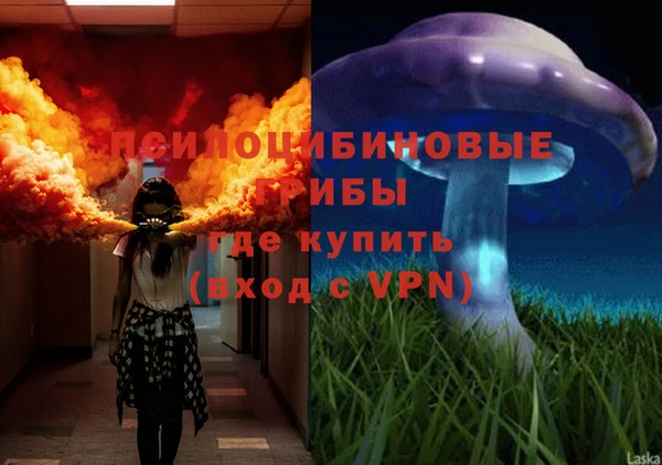 мескалин Кулебаки