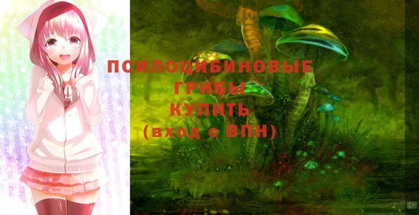 гидропоника Краснослободск