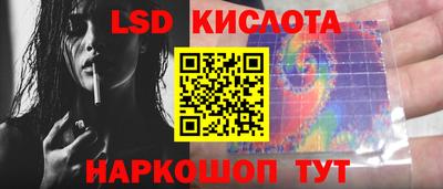 PSILOCYBIN Кинель