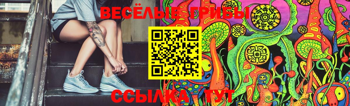 Михайловка  Галлюциногенные грибы MAGIC MUSHROOMS  Галлюциногенные грибы MAGIC MUSHROOMS  Вход с VPN 