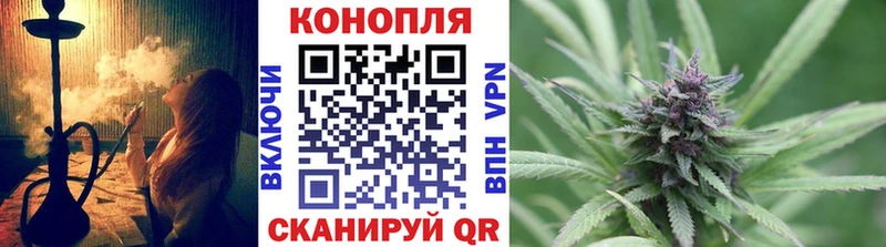 Марихуана сатива  дарк нет Telegram  Михайловка 